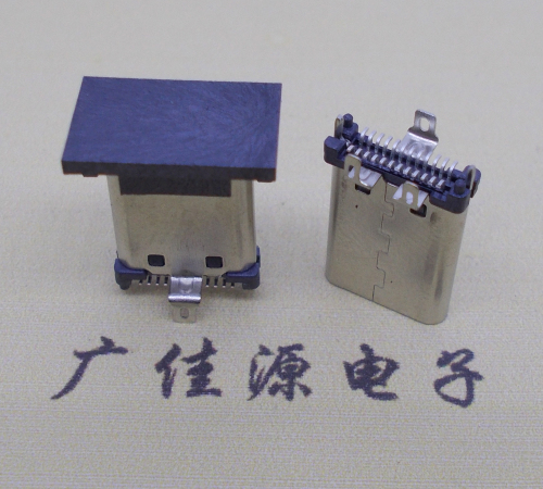 立式貼片type-c公頭24p直插貼板