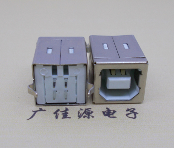 BF母座 180度立插 彎腳 帶賽接口